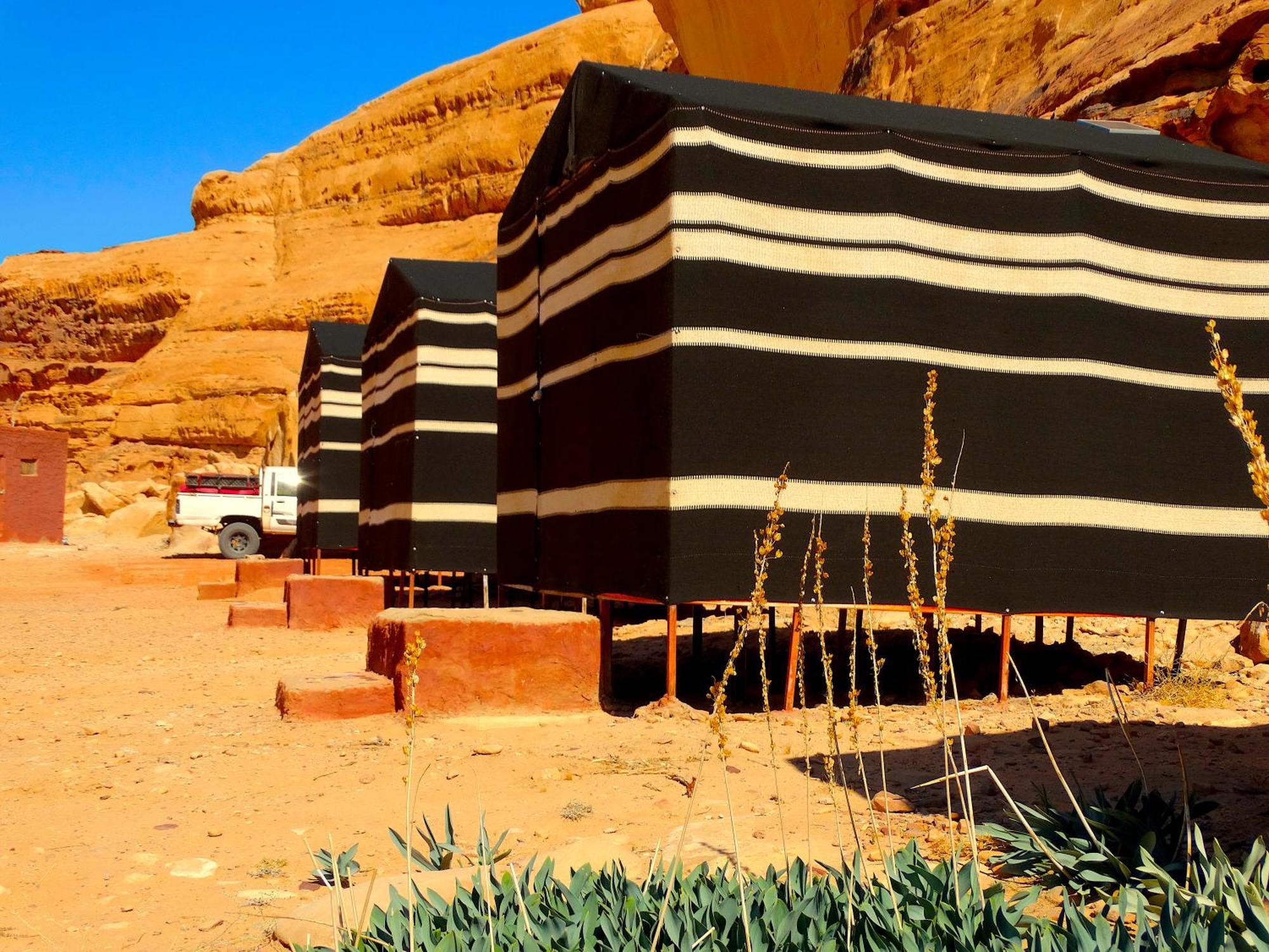 Wadi Rum View Camp Eksteriør billede