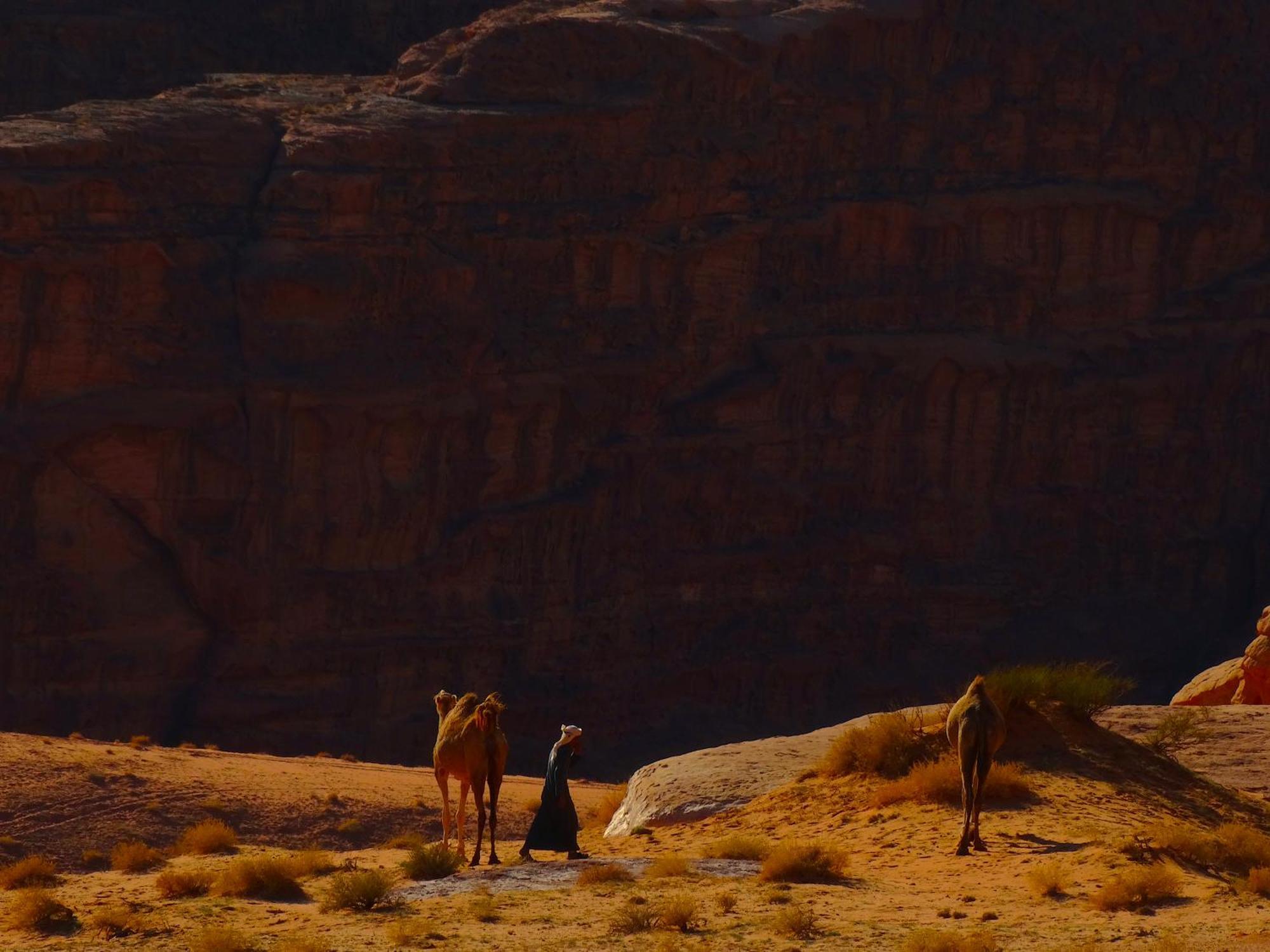 Wadi Rum View Camp Eksteriør billede