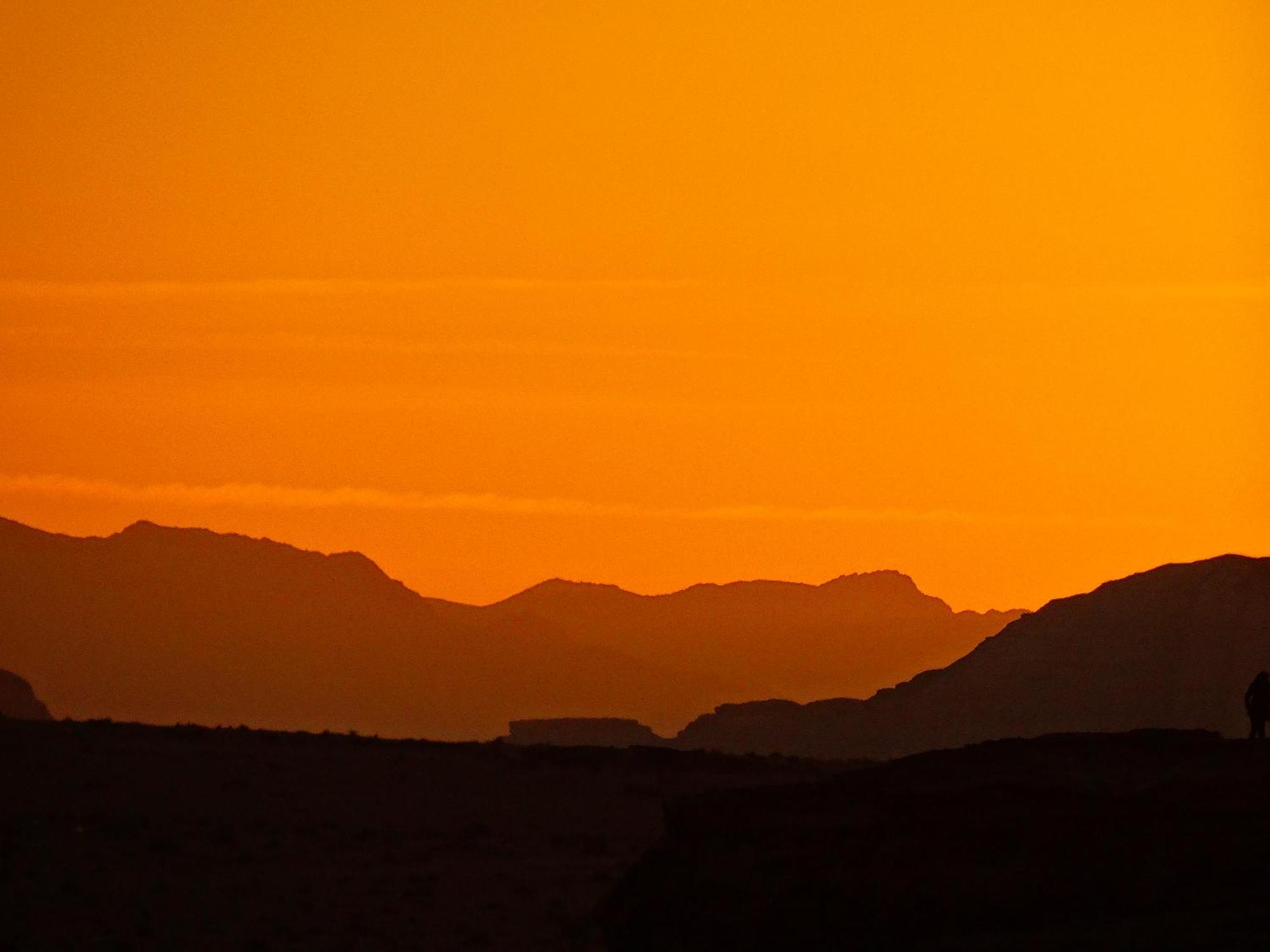 Wadi Rum View Camp Eksteriør billede