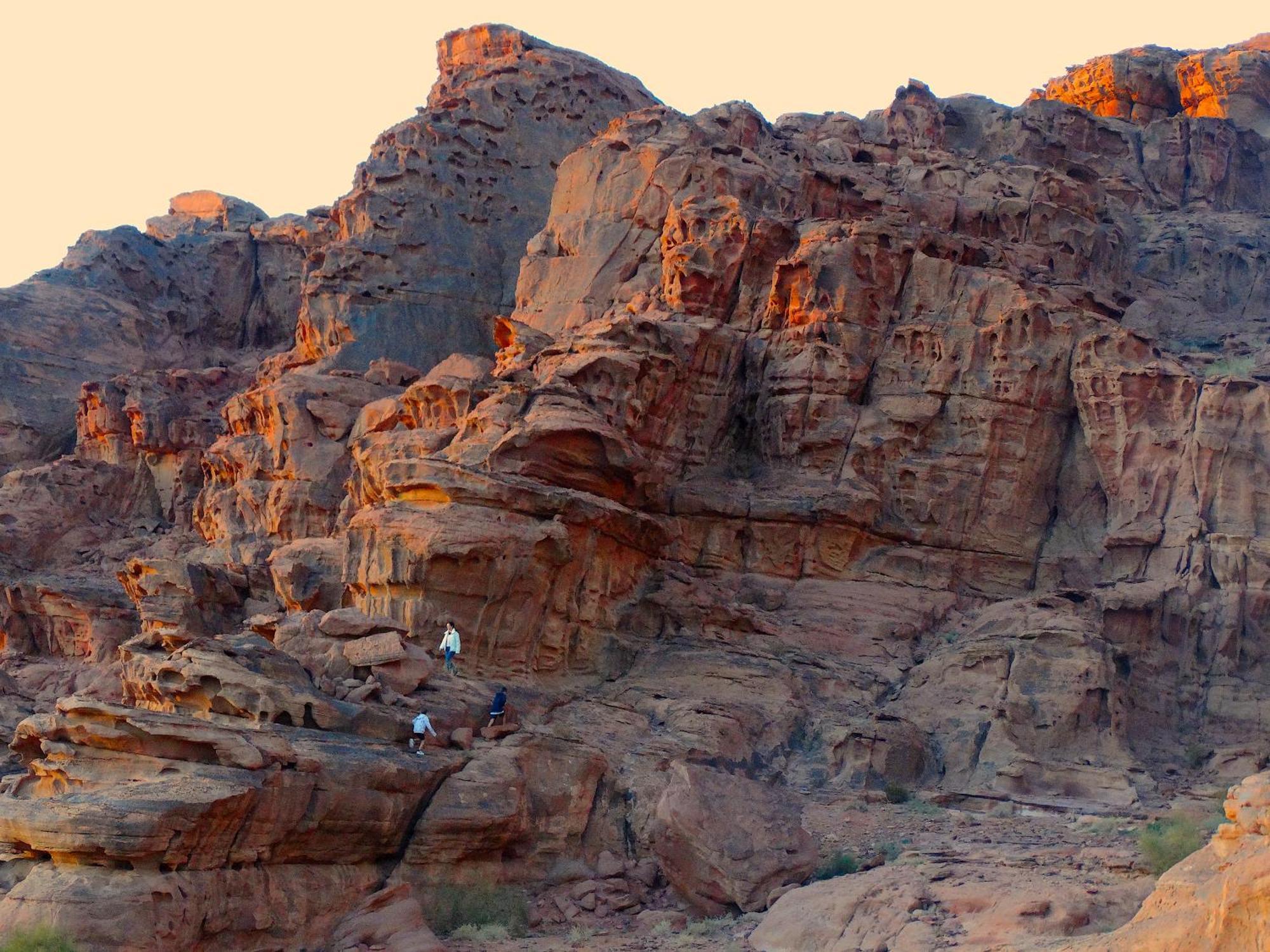 Wadi Rum View Camp Eksteriør billede