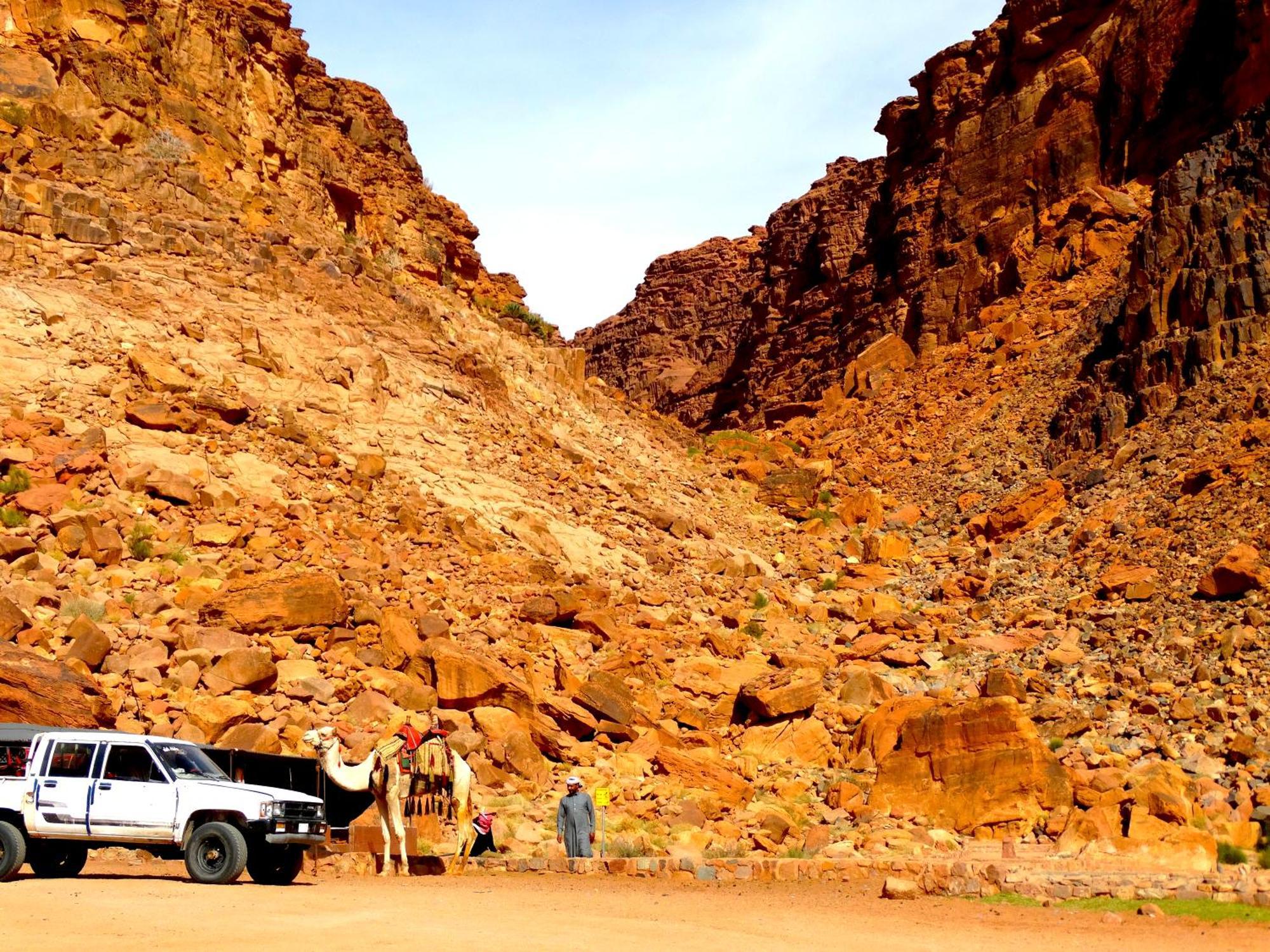 Wadi Rum View Camp Eksteriør billede