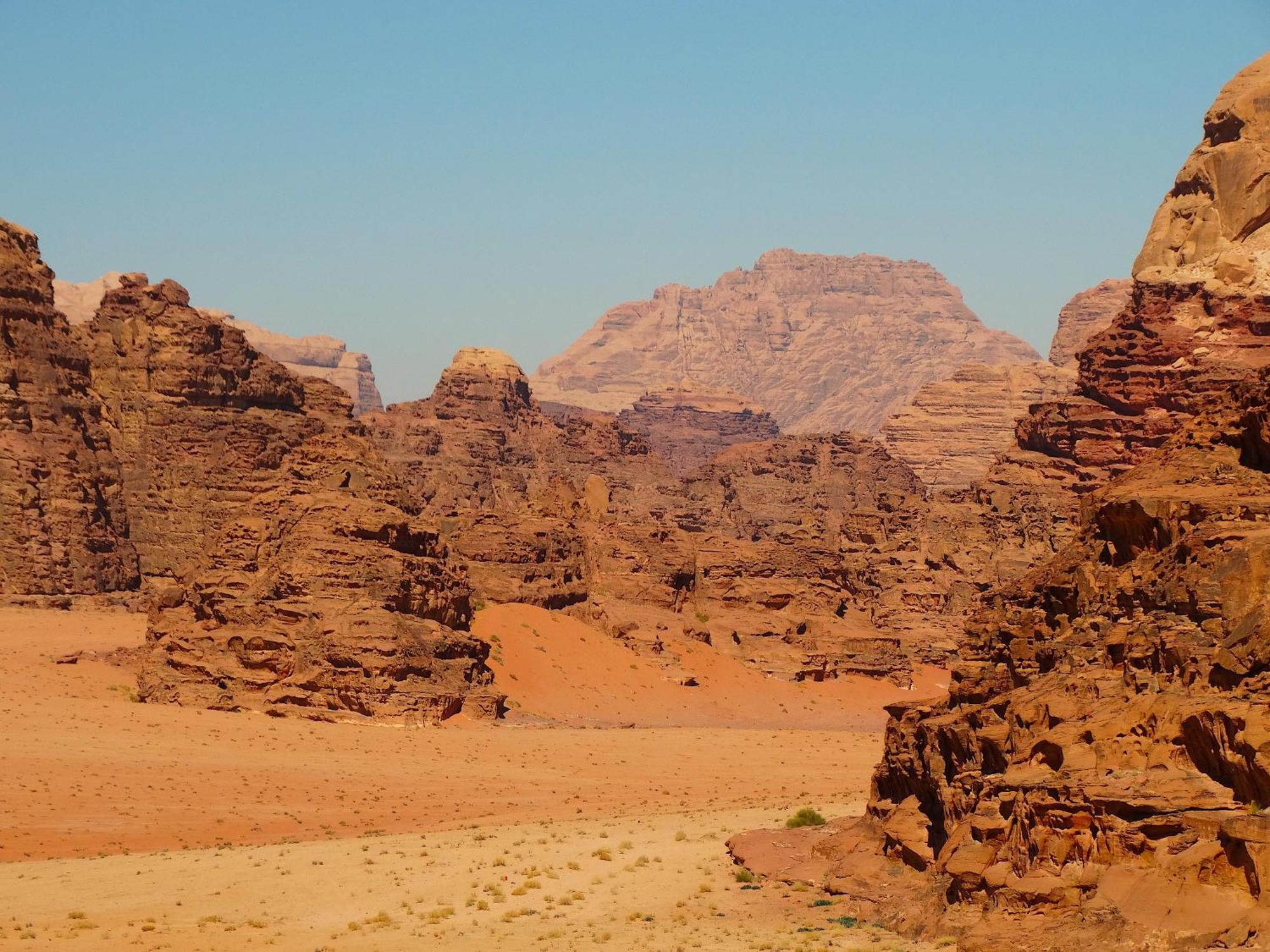 Wadi Rum View Camp Eksteriør billede