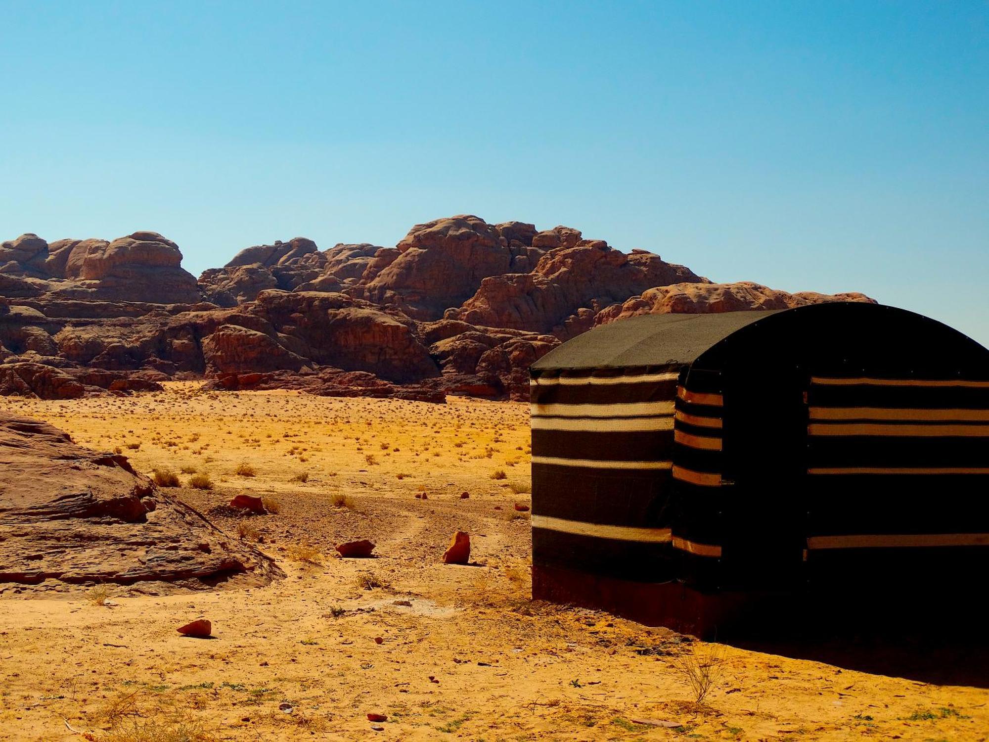 Wadi Rum View Camp Eksteriør billede