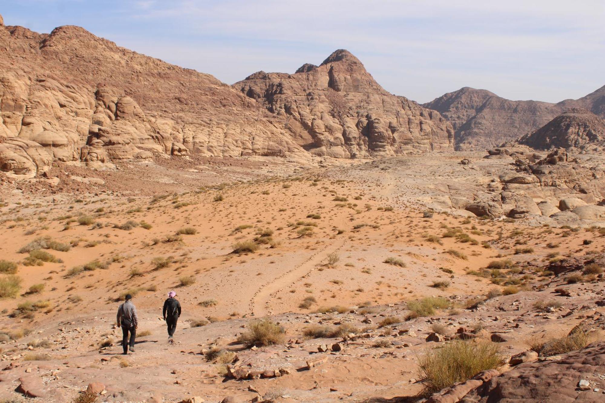 Wadi Rum View Camp Eksteriør billede