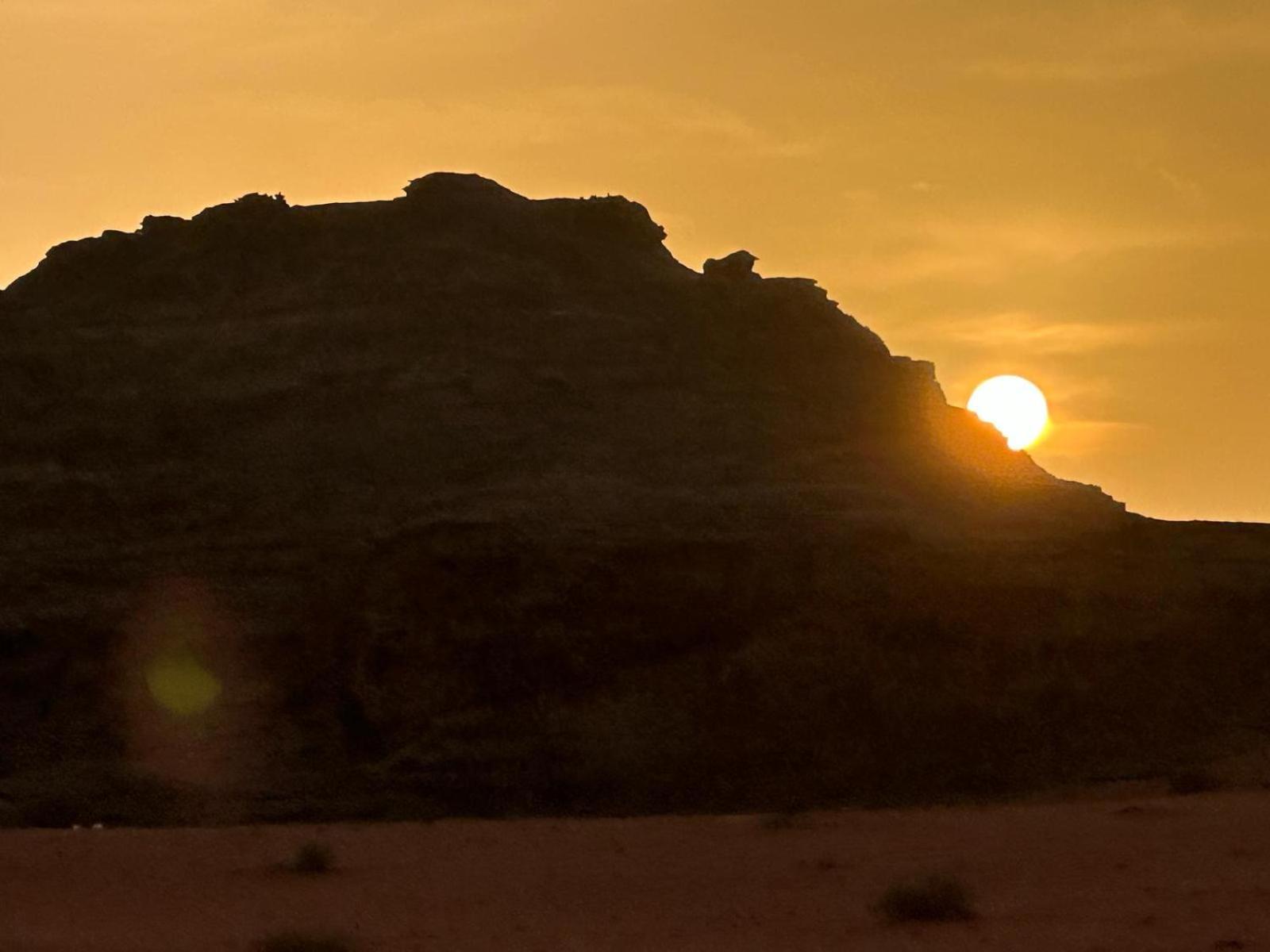 Wadi Rum View Camp Eksteriør billede